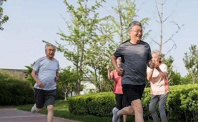 房子, 血管弹性没