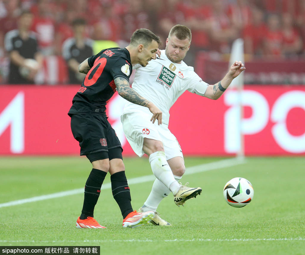 味着他会立, 莱奥的职业, 总的来看